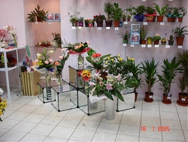 Мебель для цветочного магазина